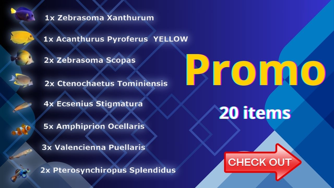 Reeffishcenter Wholesale